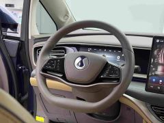 Denza D9 DM-i 970 AWD Flagship - фото 13