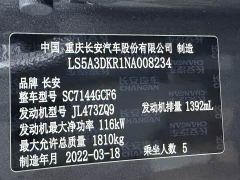 Changan CS35 PLUS Blue Whale NE 1.4T DCT Luxury - ფოტო 13