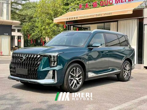 2022 GAC Aion GS8 Dual Engine 2.0T M Two-Wheel Drive Luxury Edition (6-Seater)