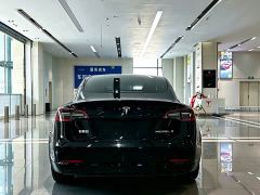 Tesla Model 3 Rear-Wheel Drive - photo 5