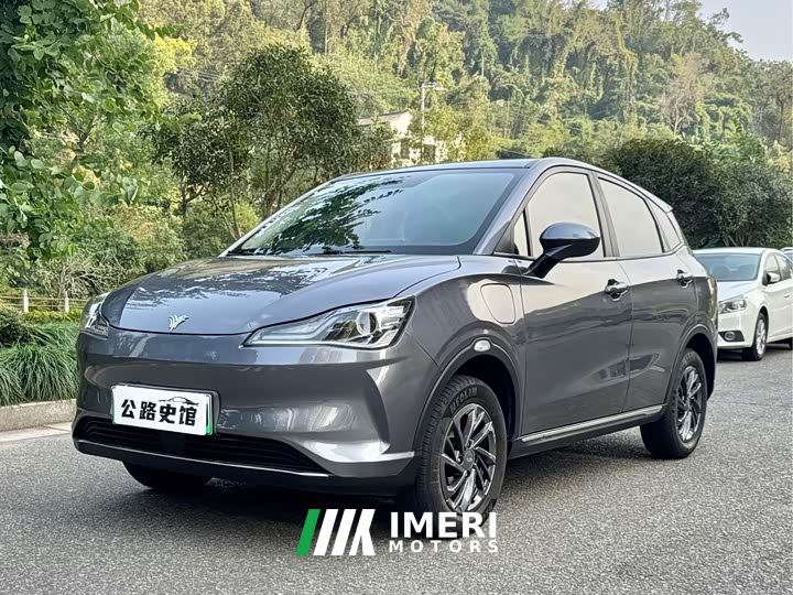 Neta V Chao 300 Industry Custom Edition - ავტომობილი ჩინეთიდან