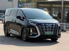Denza D9 DM-i 970 AWD Premium Edition - photo 3