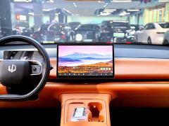 Leapmotor C10 530 Comfort Edition - ფოტო 14