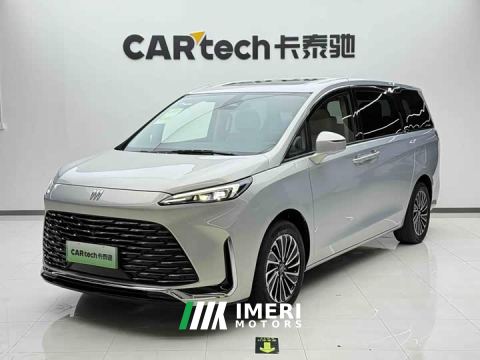 2025 Buick GL8 New Energy Lusang Respect Edition