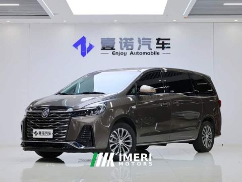 2024 Buick GL8 Land Business Class Comfort Edition
