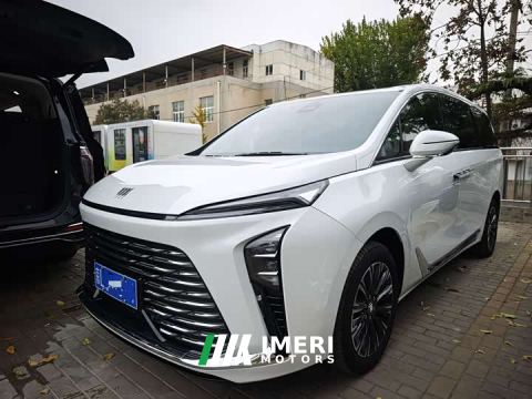 2025 Buick GL8 Luzun Respect Edition