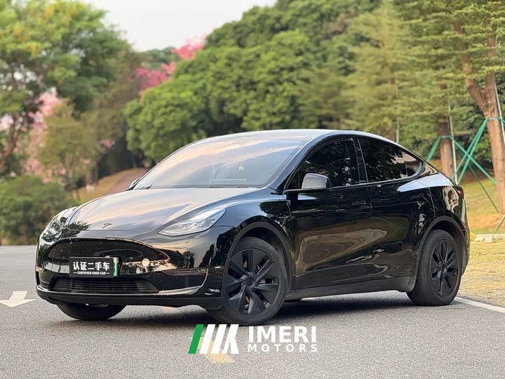 Tesla Model Y Long Range All-Wheel Drive - car from China