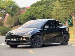 Tesla Model Y Long Range All-Wheel Drive - photo 1