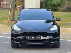 Tesla Model Y Long Range All-Wheel Drive - photo 2