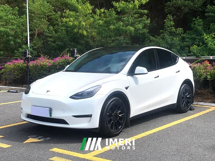 Tesla Model Y Long Range All-Wheel Drive - car from China