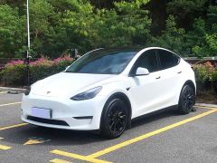 Tesla Model Y Long Range All-Wheel Drive - photo 1