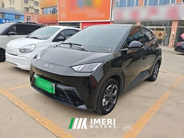 BYD Seagull 305km Freedom Edition - ავტომობილი ჩინეთიდან