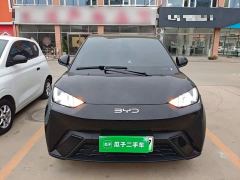 BYD Seagull 305km Freedom Edition - ფოტო 2