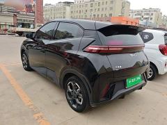 BYD Seagull 305km Freedom Edition - ფოტო 4