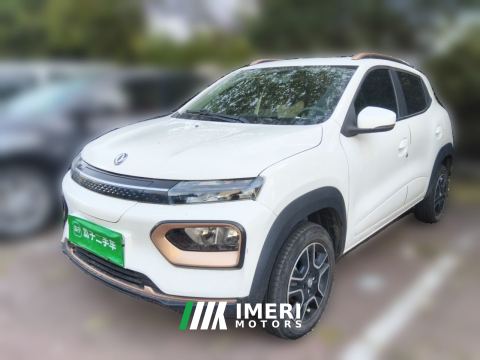 2022 Nammi Yipai Nano box Wind Pursuit Edition 331km Standard Edition - ავტომობილი ჩინეთიდან