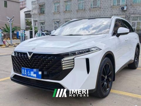 2021 Venucia V 260T DCT Top-tier Edition