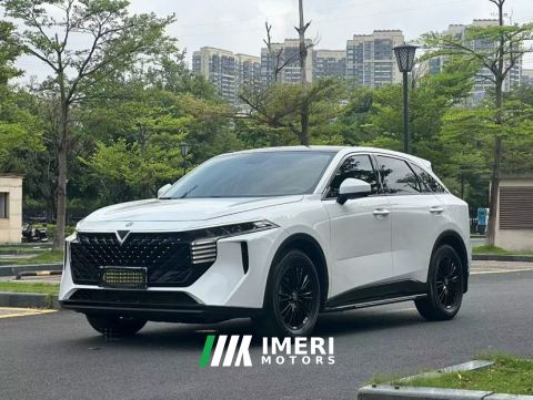 2022 Venucia V 260T DCT Dark Horse Version - Idol