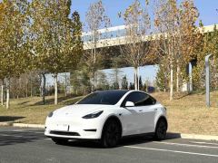 Tesla Model Y 593km Rear-Wheel Drive Edition - ფოტო 1