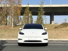 Tesla Model Y 593km Rear-Wheel Drive Edition - ფოტო 2