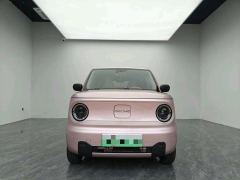 Geely Galaxy Panda mini 210km Yuanqi Bear - ფოტო 2