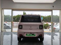 Geely Galaxy Panda mini 210km Yuanqi Bear - ფოტო 4