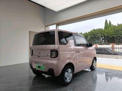 Geely Galaxy Panda mini 210km Yuanqi Bear - ფოტო 5