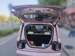 Geely Galaxy Panda mini 200km Endurance Bear - ფოტო 15
