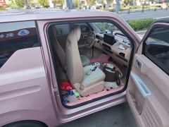 Geely Galaxy Panda mini 200km Endurance Bear - ფოტო 19