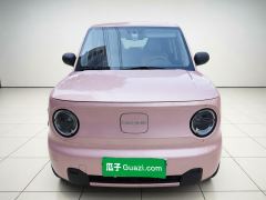 Geely Galaxy Panda mini 200km Endurance Bear - ფოტო 2