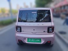 Geely Galaxy Panda mini 200km Endurance Bear - ფოტო 3