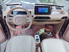 Geely Galaxy Panda mini 200km Endurance Bear - ფოტო 5