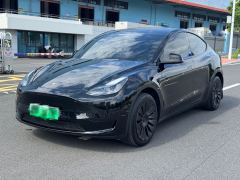 Tesla Model Y 554km Rear-Wheel Drive Edition - photo 1