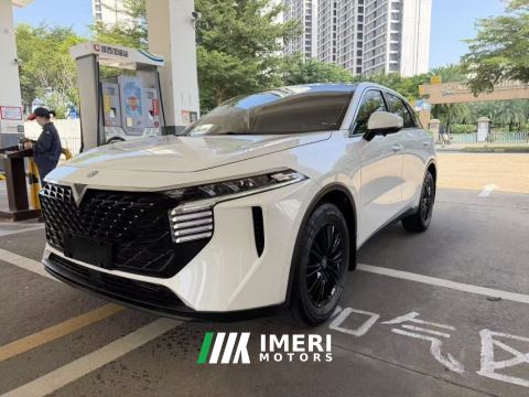 2022 Venucia V 260T DCT Dark Horse Version - Idol