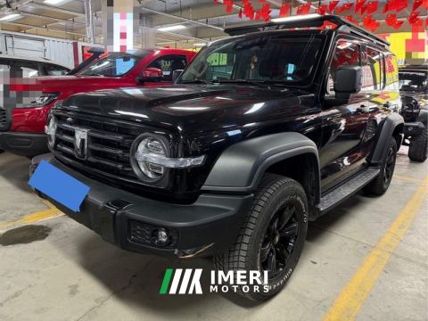 2021 Tank 300 Off-Road Edition 2.0T Conqueror - car from China