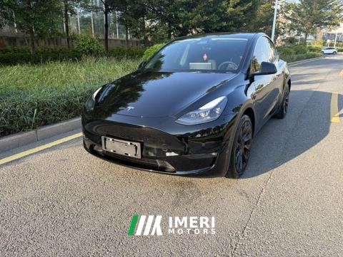 2021 Tesla Model Y Standard endurance rear-wheel drive - ავტომობილი ჩინეთიდან