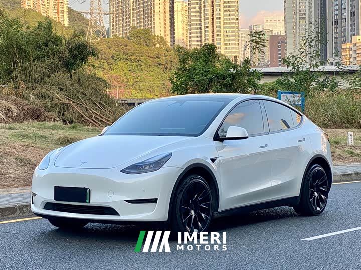 Tesla Model Y Long Range All-Wheel Drive - автомобиль из Китая