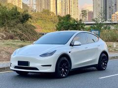 Tesla Model Y Long Range All-Wheel Drive - фото 1