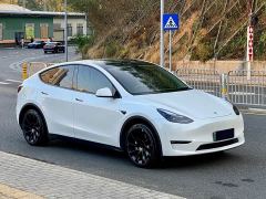 Tesla Model Y Long Range All-Wheel Drive - фото 3