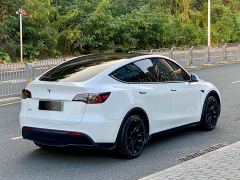 Tesla Model Y Long Range All-Wheel Drive - фото 5