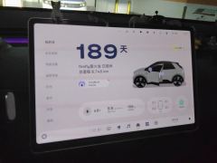 Firefly 420km Luminous version 42kWh - ფოტო 17