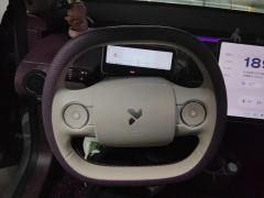 Firefly 420km Luminous version 42kWh - ფოტო 18