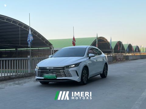 2024 BYD Destroyer 05 DM-i Honor Edition 1.5L 55km Luxury Edition - ავტომობილი ჩინეთიდან
