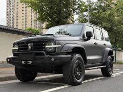 Tank 300 330 3.0T V6 - photo 1