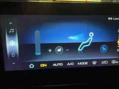 Wuling Victory 1.5T CVT Premier - ფოტო 12