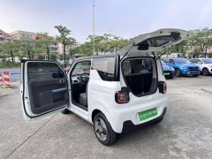 Geely Galaxy Panda mini 200km Animated Bear - фото 14