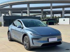 Tesla Model Y Rear-Wheel Drive - фото 3