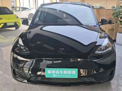 Tesla Model Y Facelift 545km Rear-Wheel Drive Edition - фото 2