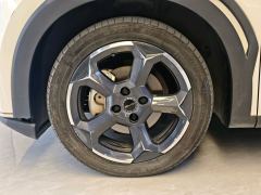 BYD Seagull 305km Free Version - ფოტო 14