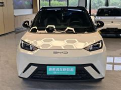 BYD Seagull 305km Free Version - ფოტო 2