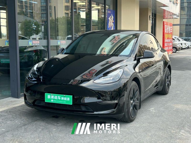Tesla Model Y Standard endurance rear-wheel drive - car from China